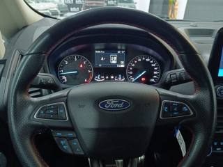 FORD EcoSport usata, con Bracciolo