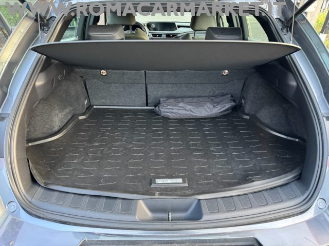 LEXUS UX Full Electric usata, con Cronologia tagliandi