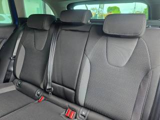 SKODA Octavia usata 99