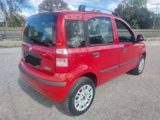 FIAT Panda usata 5