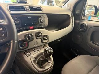 FIAT Panda usata, con Immobilizzatore elettronico