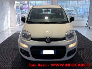 FIAT Panda usata 17