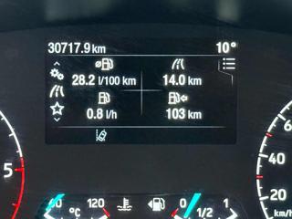 FORD Transit Custom usata 19