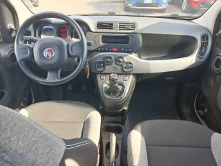 FIAT Panda usata, con Airbag testa