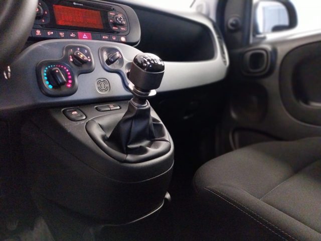 FIAT Panda usata, con Cronologia tagliandi