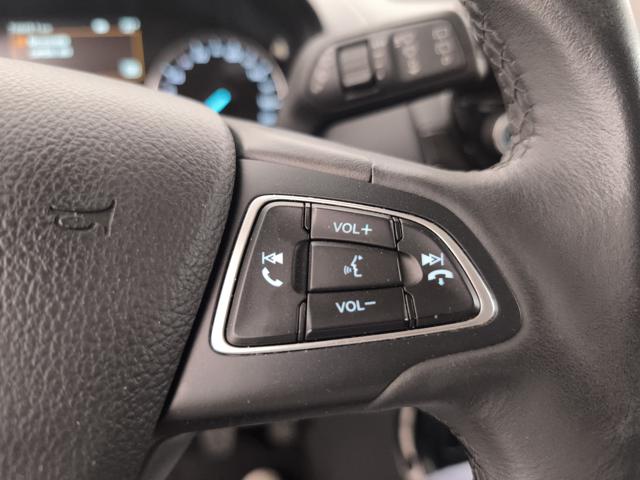 FORD EcoSport usata, con Fendinebbia