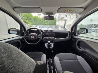 FIAT Panda usata, con Cruise Control