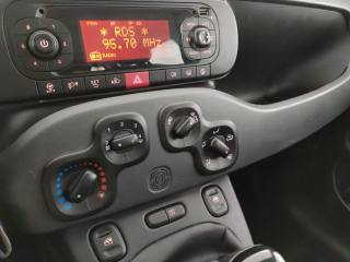 FIAT Panda usata, con Airbag testa