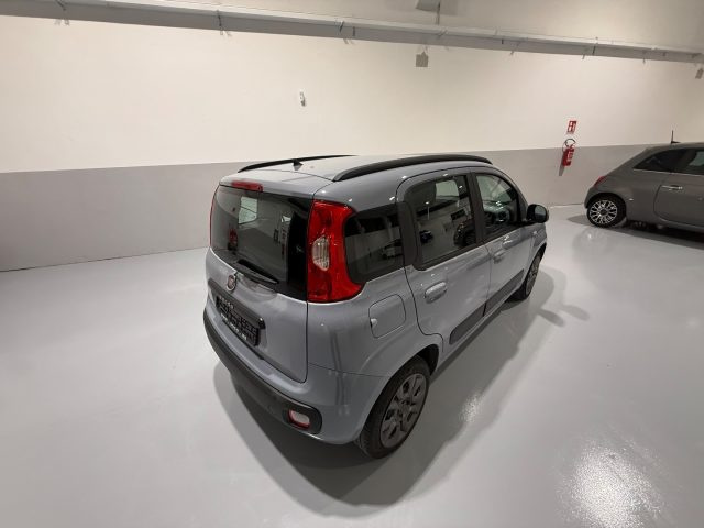 FIAT Panda usata, con Servosterzo
