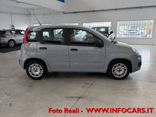 FIAT Panda usata 15