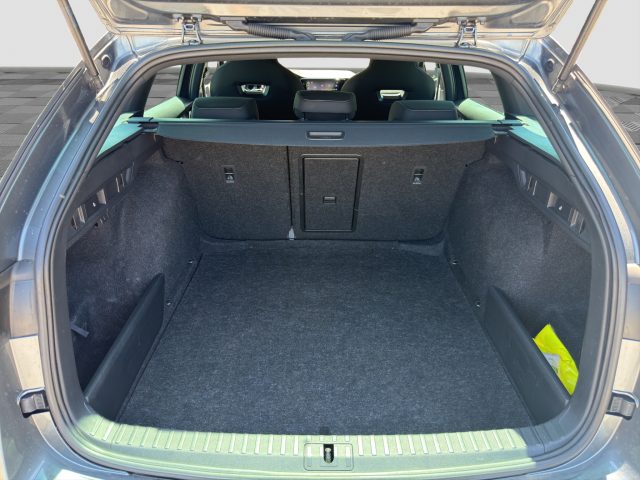 SKODA Octavia usata 14