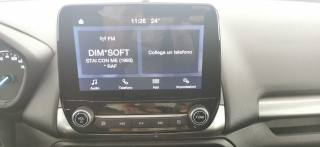 FORD EcoSport usata, con Controllo trazione