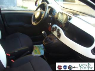 FIAT Panda Cross usata, con Sistema di riconoscimento della stanchezza