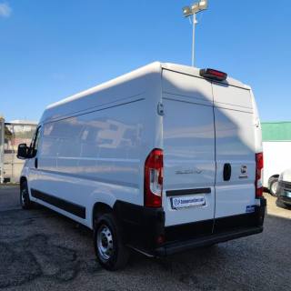 FIAT  usata 4