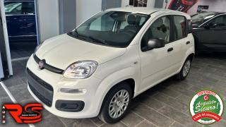 FIAT Panda usata, con Airbag laterali