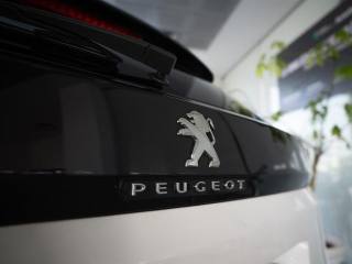 PEUGEOT 3008 usata, con Cerchi in lega