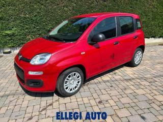 FIAT Panda usata, con Cruise Control