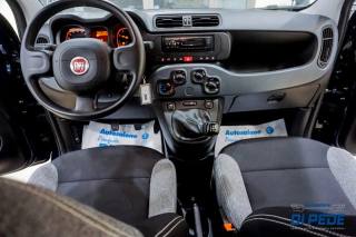 FIAT Panda usata, con Hill holder