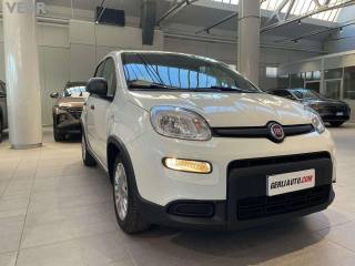 FIAT Panda usata, con Alzacristalli elettrici