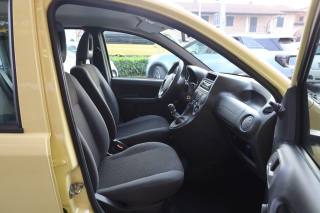 FIAT Panda usata 53
