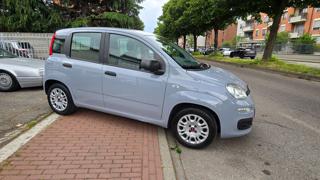 FIAT Panda usata, con Immobilizzatore elettronico