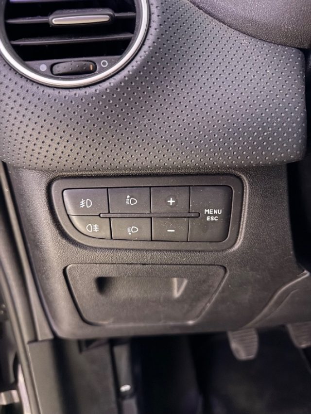 FIAT Punto Evo usata 18