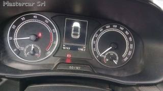 SKODA Fabia usata, con ESP