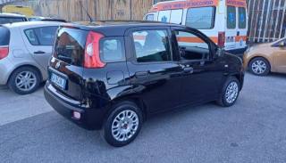 FIAT Panda usata, con Airbag Passeggero