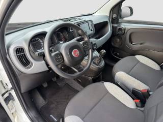 FIAT Panda usata 8