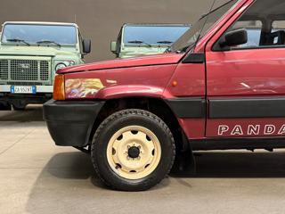 FIAT Panda usata 15