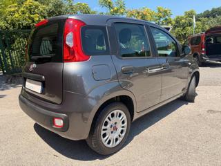 FIAT Panda usata, con ESP