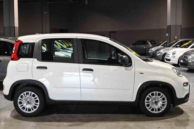FIAT Panda usata, con Alzacristalli elettrici