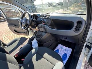 FIAT New Panda usata, con Airbag testa