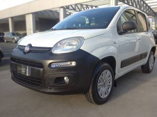 FIAT Panda usata, con Airbag laterali