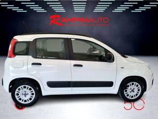 FIAT Panda usata 5