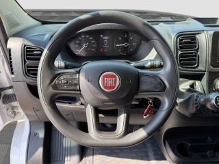 FIAT Ducato usata 9