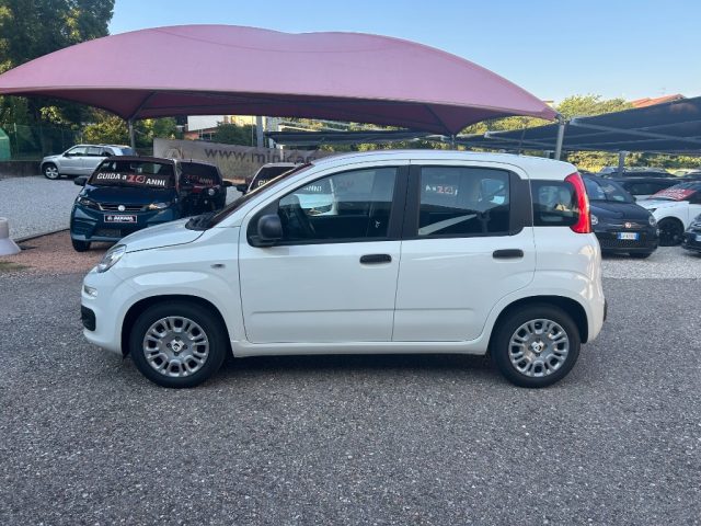 FIAT Panda usata, con Alzacristalli elettrici