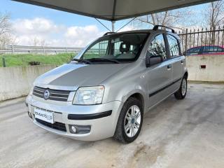 FIAT Panda 1.2 AUTOMATICA 5 POSTI POCHI KM OK NEOPATENTATI
