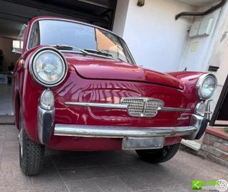 AUTOBIANCHI Bianchina usata 42