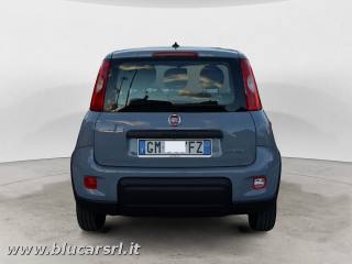 FIAT Panda usata, con Antifurto