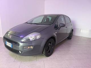 FIAT Punto usata 2