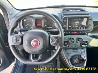 FIAT Panda usata, con Fendinebbia