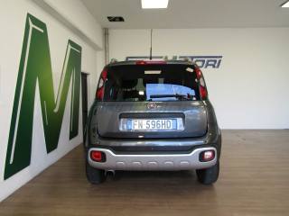 FIAT Panda Cross usata, con Fendinebbia