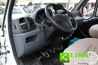 FIAT  usata 8