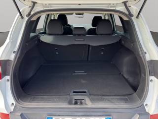 RENAULT Kadjar usata, con Fendinebbia