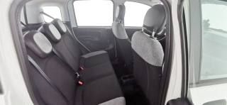 FIAT Panda usata 45