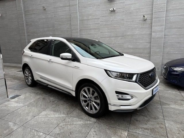 FORD Edge usata, con Servosterzo