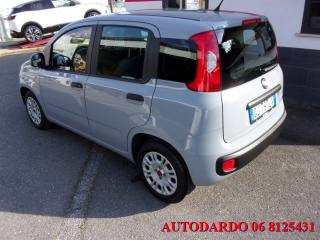 FIAT Panda usata, con Antifurto