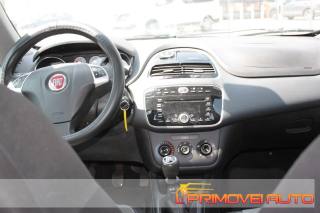 FIAT Punto usata 13