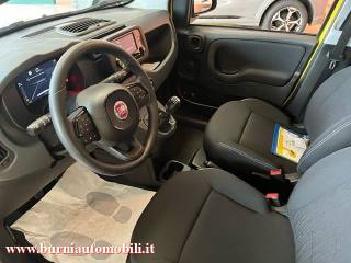 FIAT Panda usata, con Immobilizzatore elettronico